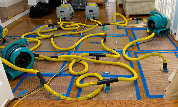 Professional Basement Flood Cleanup technician working in Osgood, OH